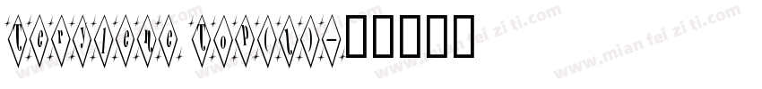 Terylene Top(1)字体转换